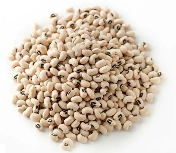 Black Eye Beans Non GMO Healthy nutrition minimum 1 ton for Export available in discount rate