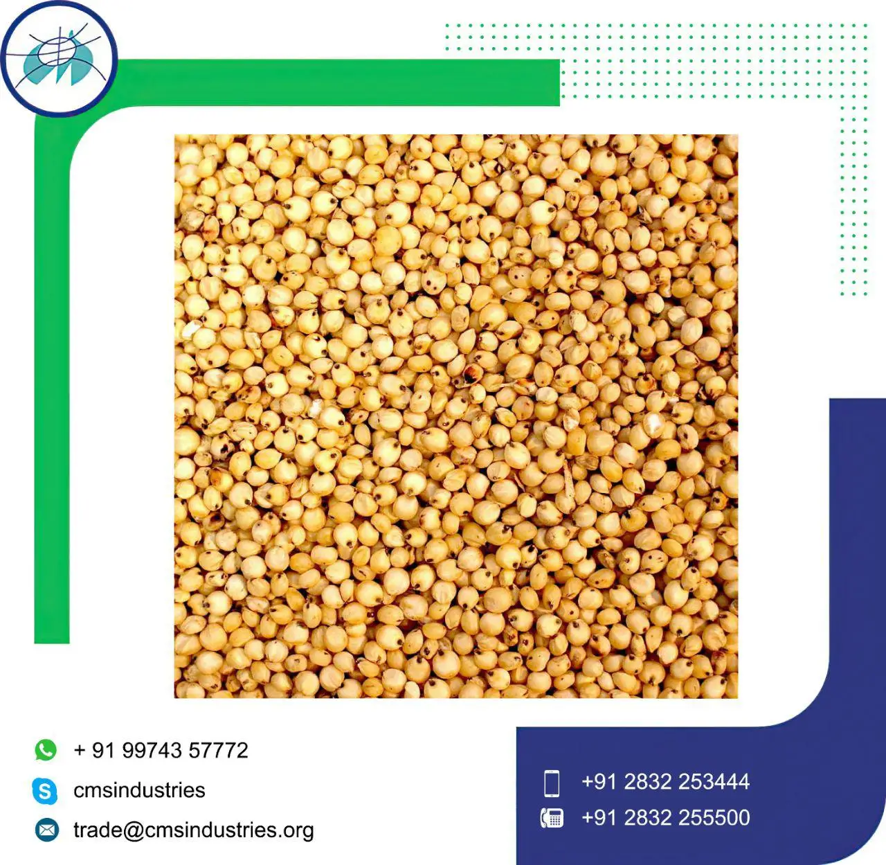 Good Supplier Lower Price Yellow or CH5 Sorghum
