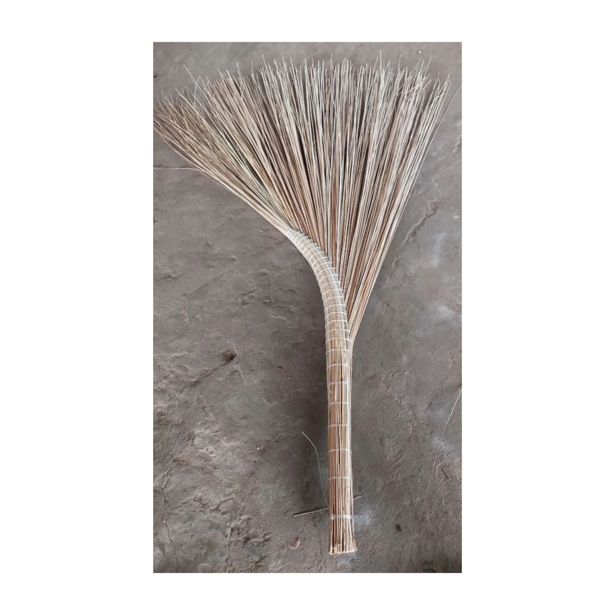 Hot selling Coconut Broom Stick - Coconut Tree-ECO Broom Stick For Cleaning Coconut Grass Broom Sticks