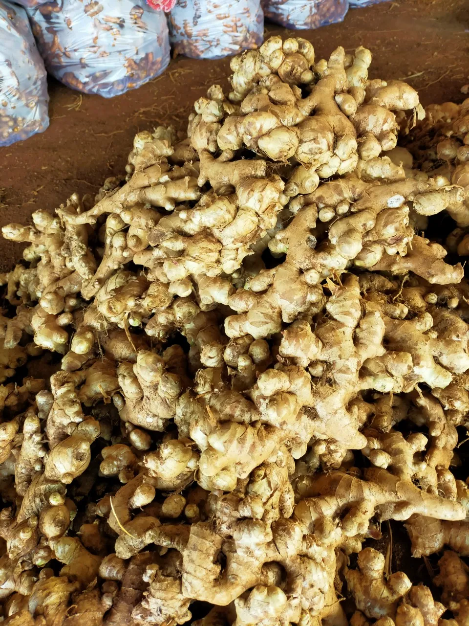 High Quality Delicious Frozen Ginger Fruits and Vegetables from Vietnamese Manufacturer Packaged in Bulk for minus18C Storage