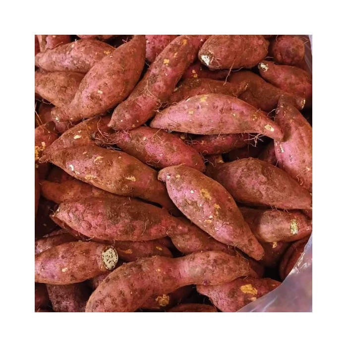 Best Price Organic Fresh Sweet Potato - High-Quality, Export Standard, Ideal for Cooking, Bulk Sale, Ready for Export