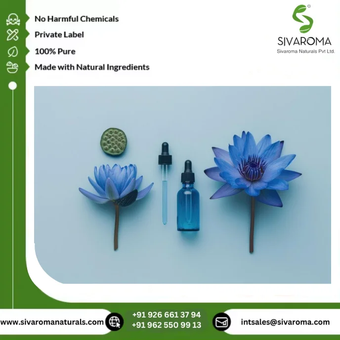 Elevate Your Product Line with Premium Blue Lotus Absolute Oil for Aromatherapy and Perfumery Needs