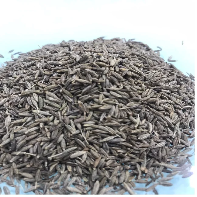 Cumin Seed Cumin Seeds India origin