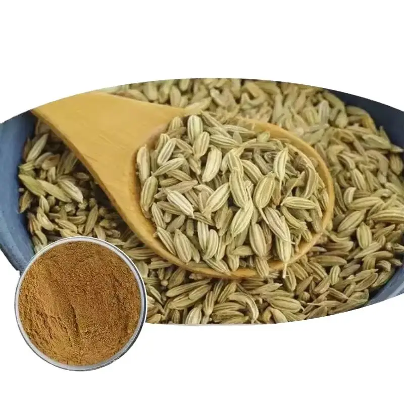 Factory Price Natural 10:1 Foeniculum Vulgare Fennel Extract Fennel Seed Extract Powder Cheap price