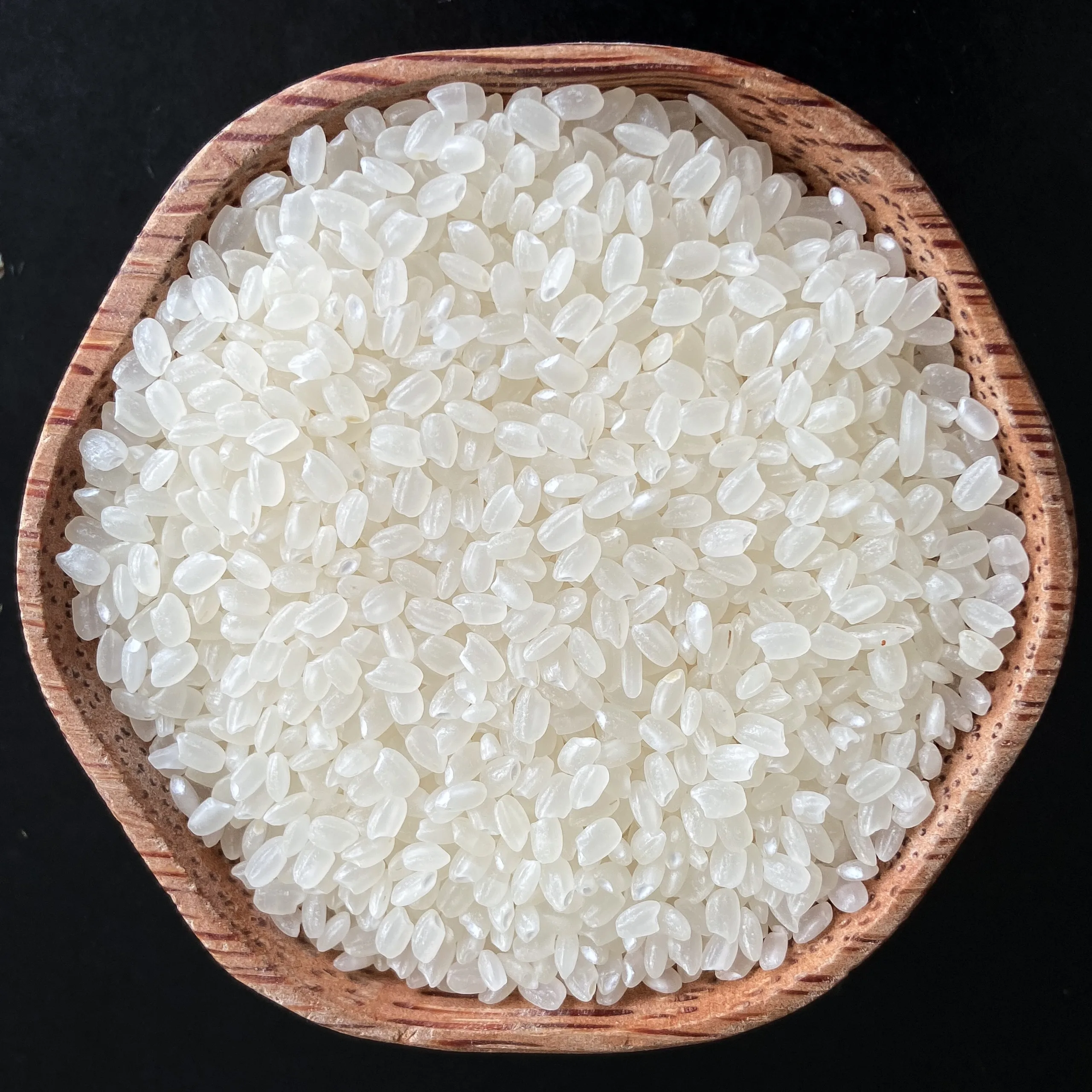SUSHI RICE - HIGH QUALITY in VIETNAMESE RICE JAPONICA ROUND RICE IRRI for ALL MARKETS
