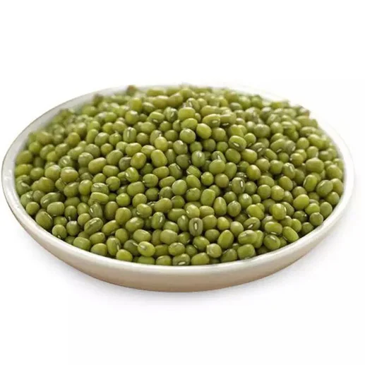 Best choice and best discounts Green Bean Machine Cleaned Premium Grade Green Mung Beans Exporter