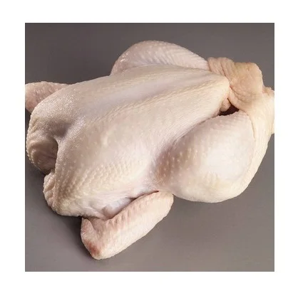 High Quality Wholesale Cheap Price Frozen IQF / BQF Whole Chicken For Sale