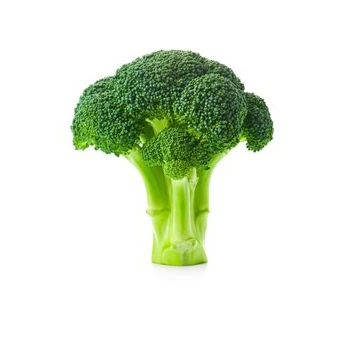Good Quality Wholesale Fresh Broccoli Hot Sale High Quality Fresh Broccoli Factory Low Price Broccoli