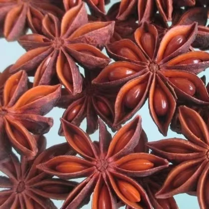 Натуральный органический осенний Звездный анис-большой цветок-лучший поставщик из Вьетнама