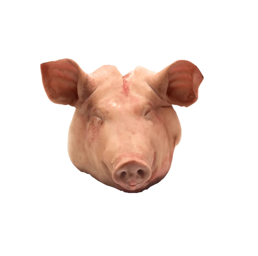 Frozen Pork Heads - Complete with Ears and Tongue - High-Quality Meat for Cooking, Roasting Wholesale Prices and Global Shipping