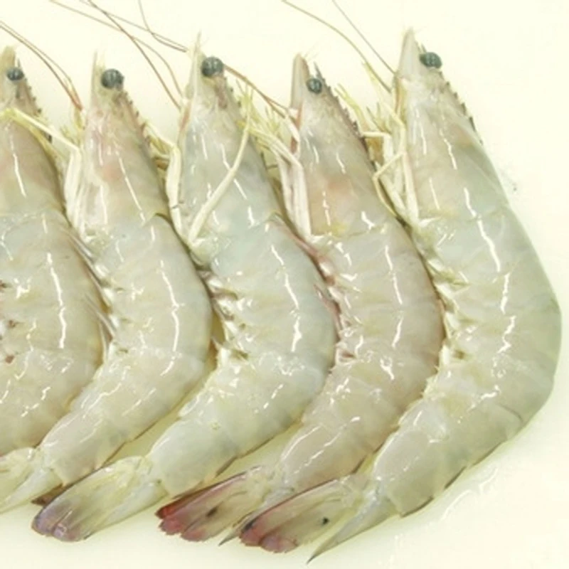 Wholesale Premium Seafood Prawns Frozen Vannamei Shrimp