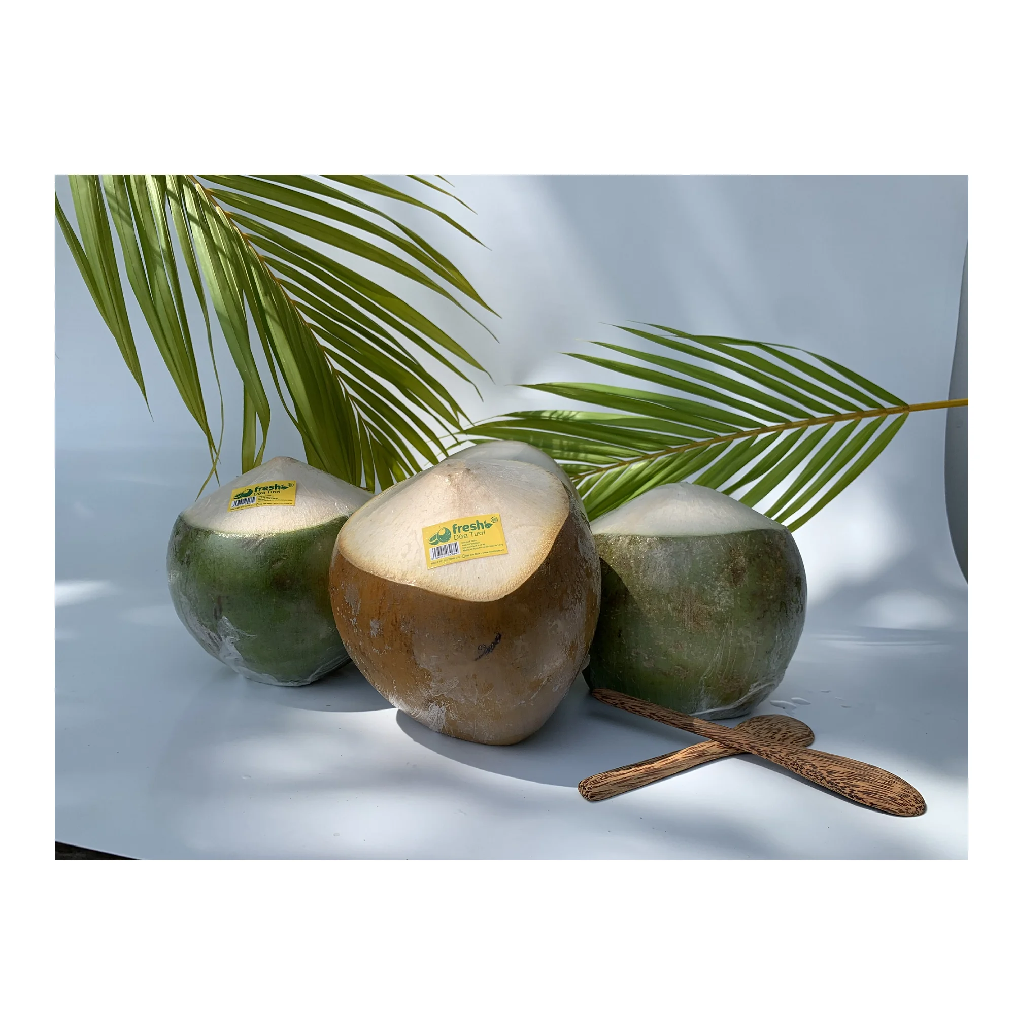Premium Class Cling Healthy Film Wrap Fruit Lifestyle Young And Fresh Selling Coconut From Vietnam Wholesale