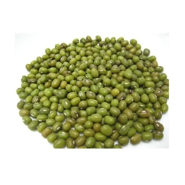 Wholesale Natural Organic High Quality Green Mung Beans Green Vigna Beans Green Gram Beans