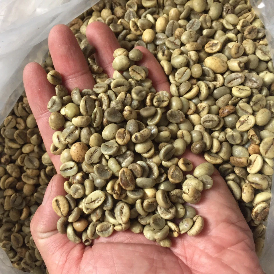 [Crop 2023-2024] Whole Bean Coffee High Quality Raw Coffee Beans Directly from The Farm // Whatsapp:+84-975807426 Lucy
