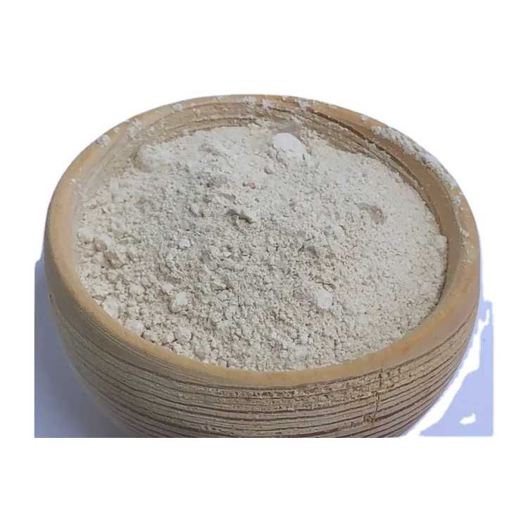 Indian Origin Natural Kieselguhr Catalyst/Diatomaceous Earth Powder at Cheap Price