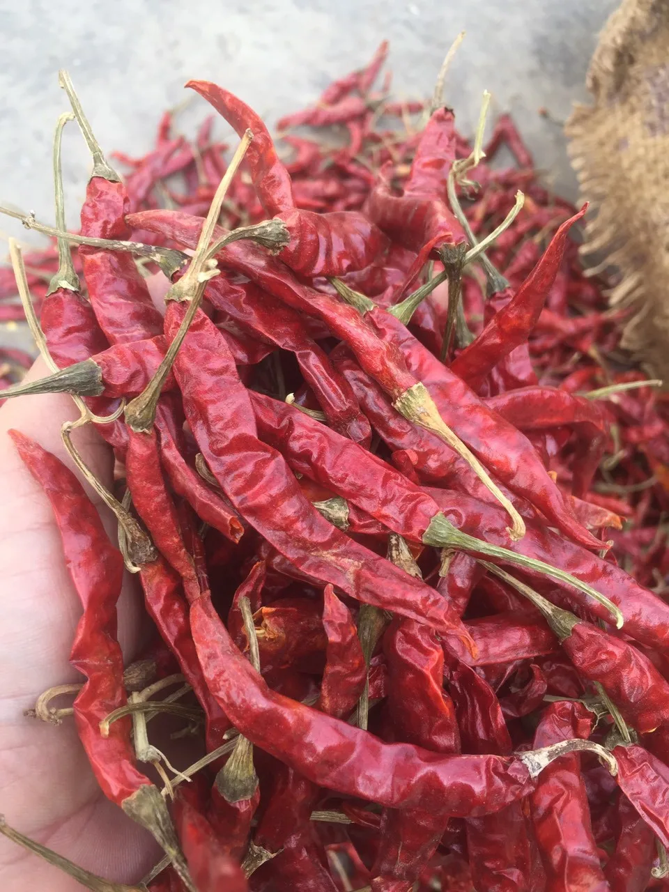 Hot Spicy Taste with Dried Red Chilies with or Without Stems Extremely Spicy Taste Made in Vietnam at Wholesale Price