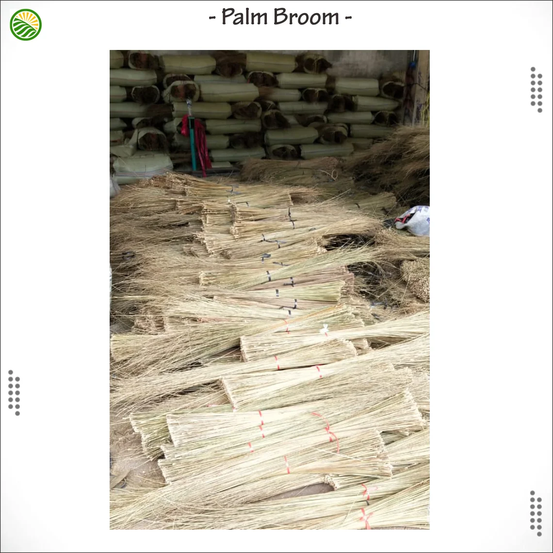 Palm Broom Stick from Indonesia natural unchopped Eckel Raw material