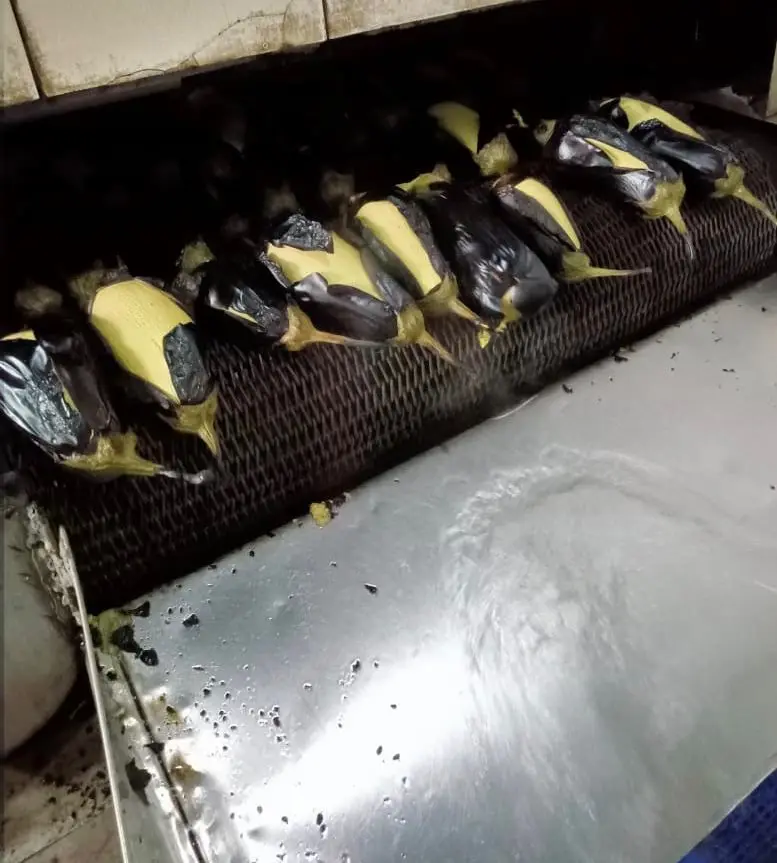 Вкусный естественный вкус свежего жареного баклажана