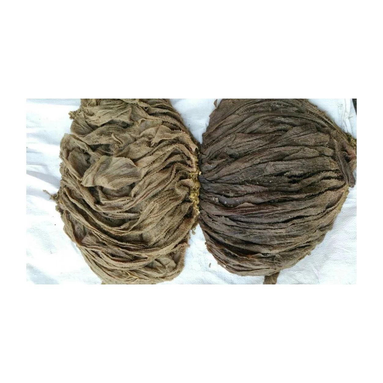 SALTED BEEF OMASUM SCALDED OMASUM and BEEF TRIPE