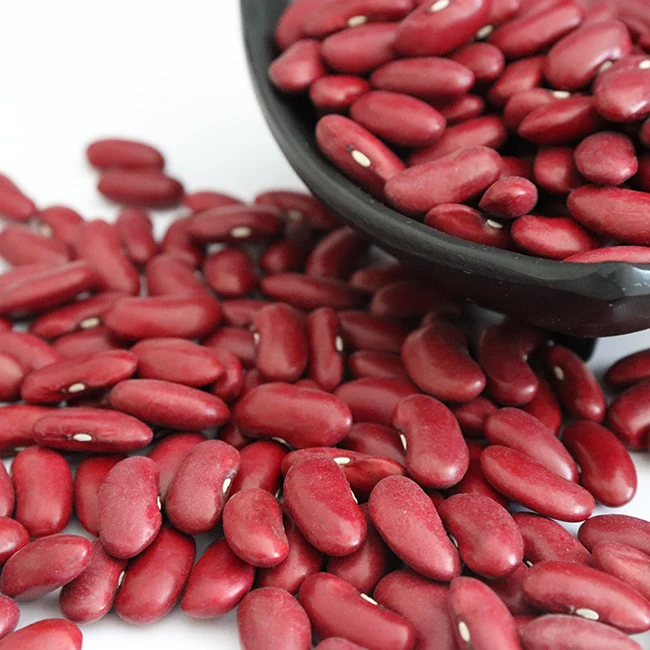 canned dark red kidney beans in brine with high quality