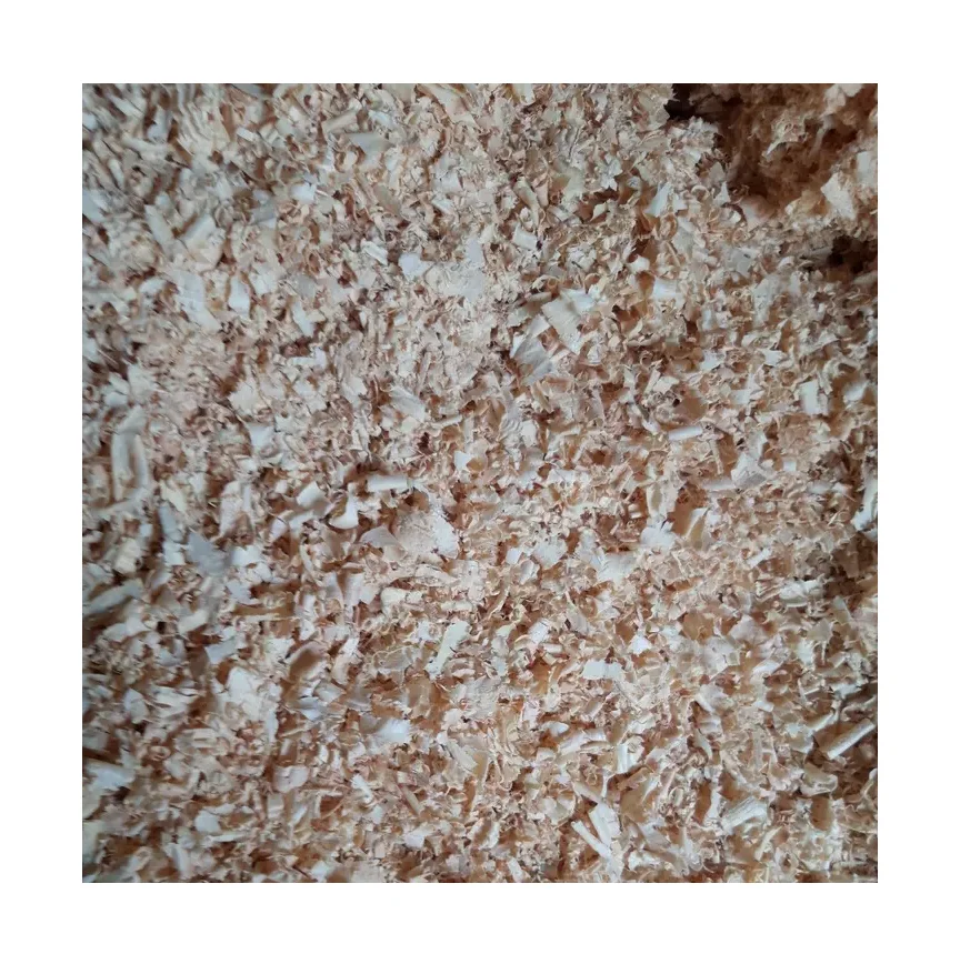 High quality natural wood shavings for use as animal bedding or stuffing material, for sale in bulk, wood wool hot sale
