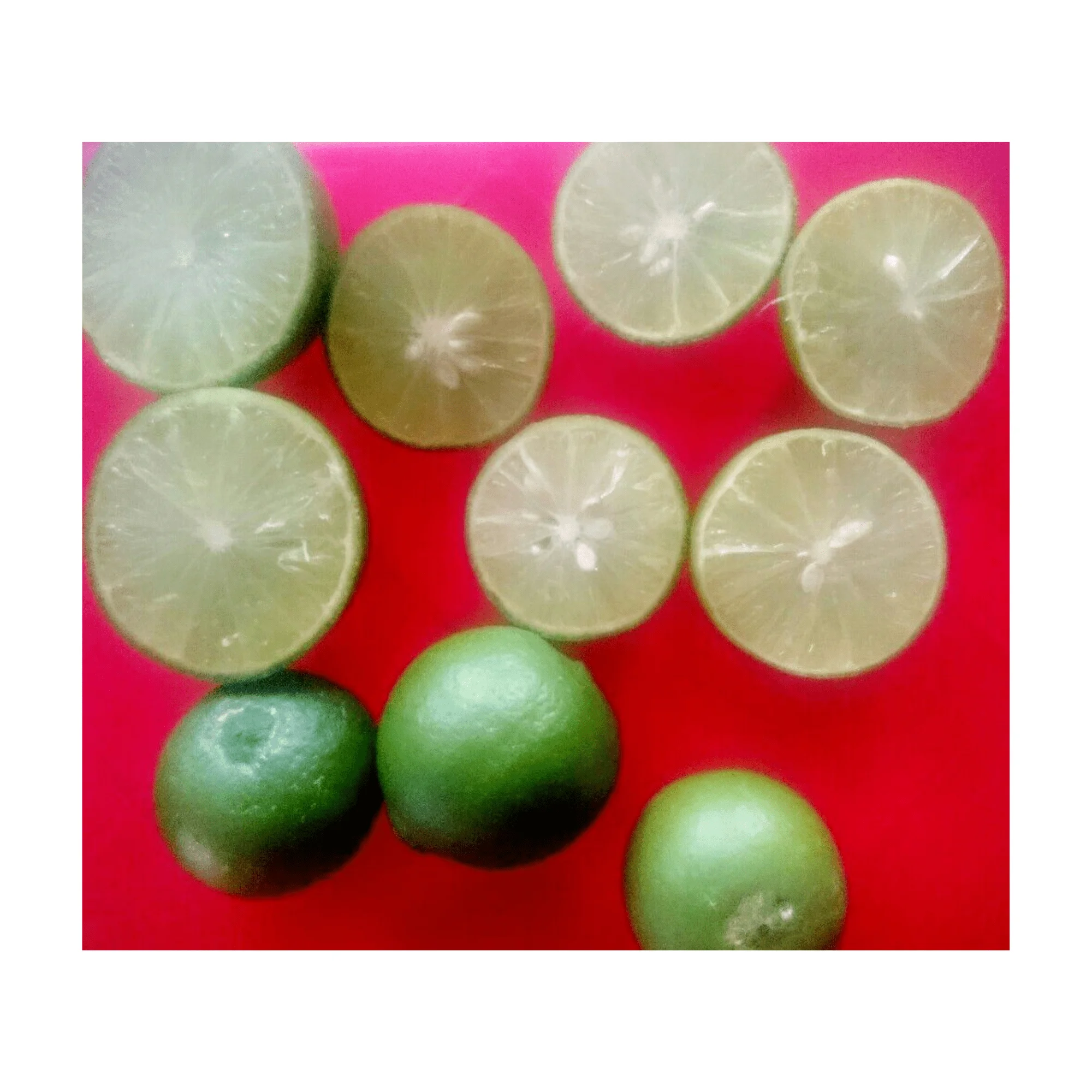 Good Quality Fresh Lemon/Fresh Green Seedless Lime and Lemons from Fresh Citrus Fruit with high quality and competitive price