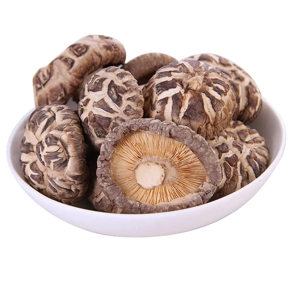 hot selling iqf food mushroom cultivation Shiitake Mushroom for Frozen shiitake