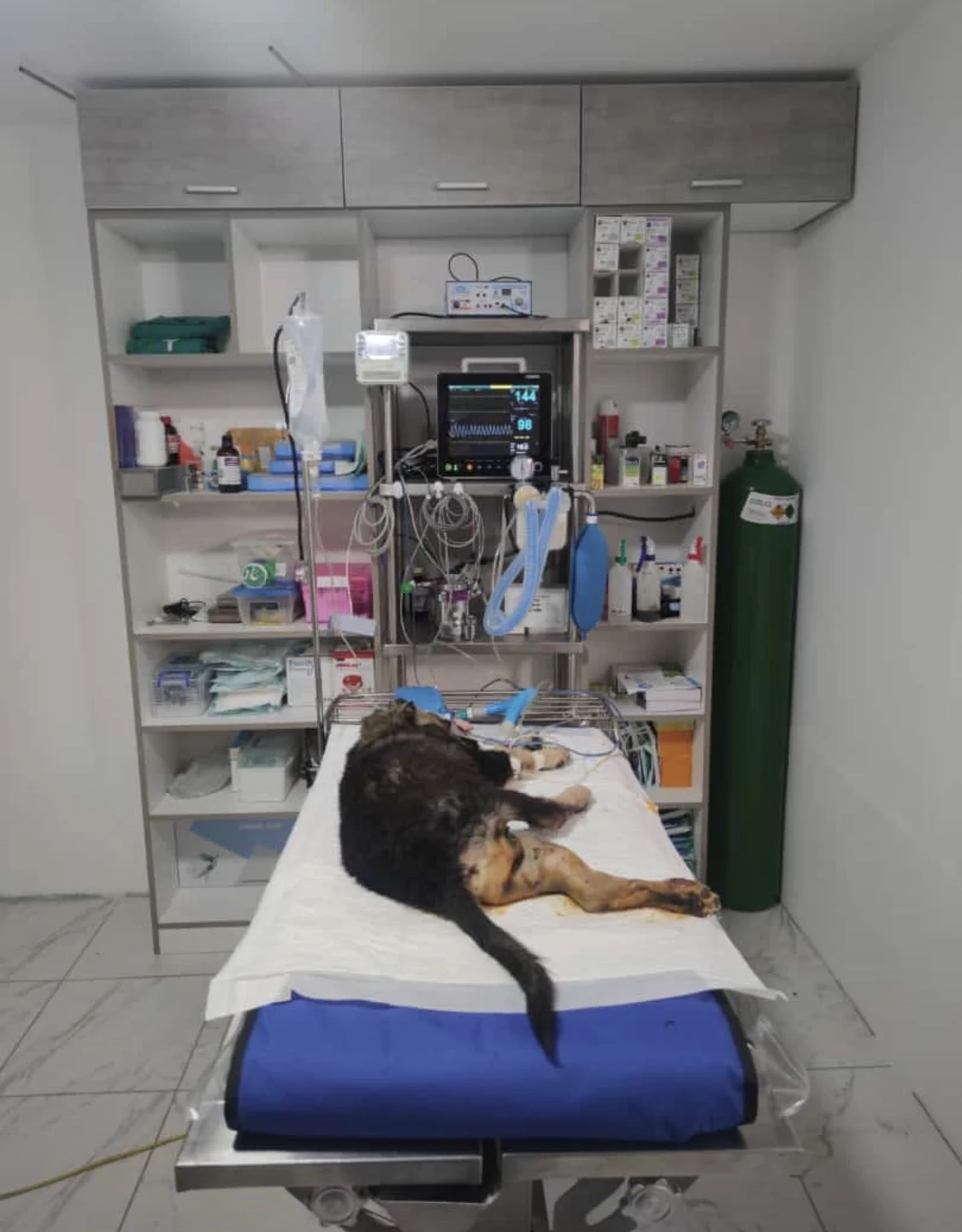 Human designed six vet parameters patient monitor Sun-603S