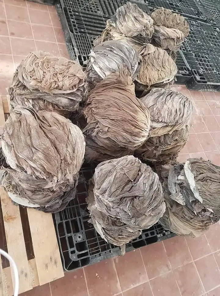 SALTED BEEF OMASUM HIGH QUALITY SALTED DRIED BEEF OMASUM S GRADE NO BURN PRODUCT ORIGIN FROM BANGLADESH