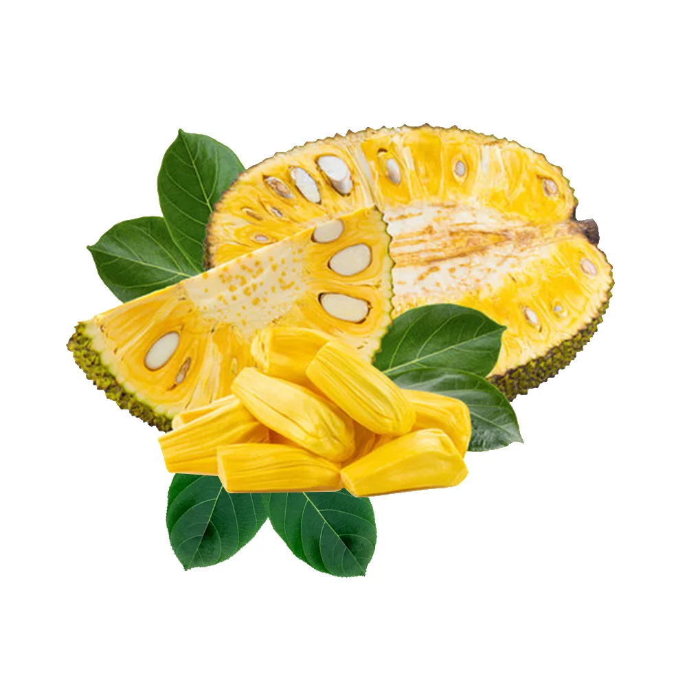 New 2022 Season Frozen Jackfruit Organic Fresh Fruit Good Sweet International Quality with Good Price 0084-903 839 617