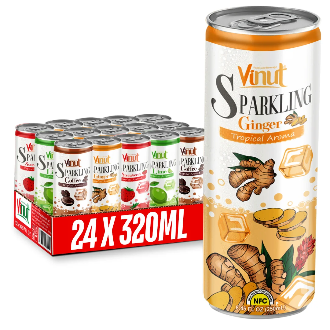 250 мл имбиря арбуза лайма клубники кофейного игристого сока-винут вьетнамский завод бесплатный образец частной торговой марки