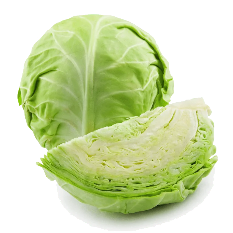 High Quality Vietnam Fresh Cabbage Bag Mesh Style Time Global GAP Package Weight Origin Type Year Supply Product Place Model