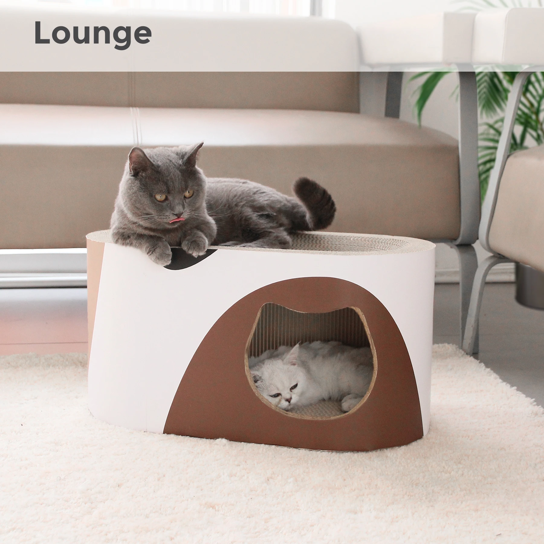Modern and Fashion, Strong Cardboard Cat Scratcher Lounge Recycled Cat Scratching Toys Protector with Cat Hole