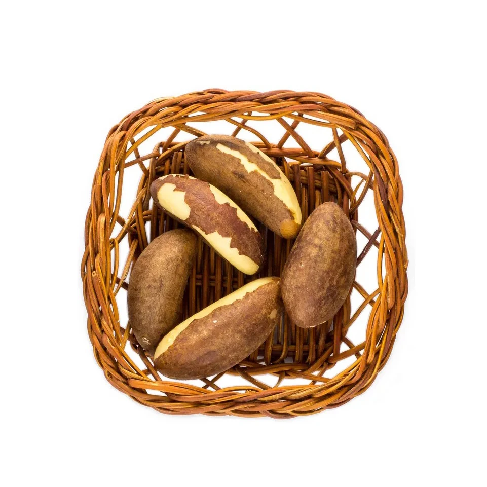 Top Grade Wholesale Brazil Nuts For Sale In Cheap Price