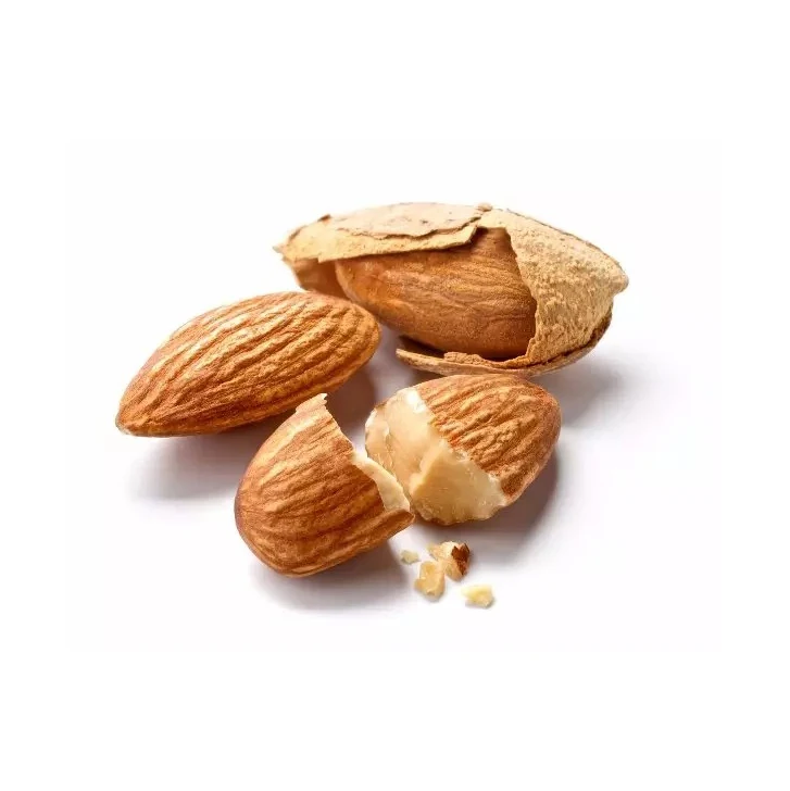 Wholesale USA Raw Dry Fruits Almond Nuts In Bulk California Almonds Price