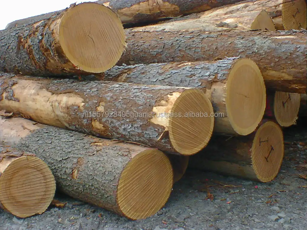 oaklogs2.jpg