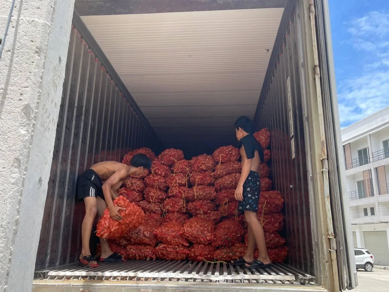 Premium Fresh Ginger High Quality Thai Vegetable from Thailand  Hight Grade Fresh Ginger in Carton