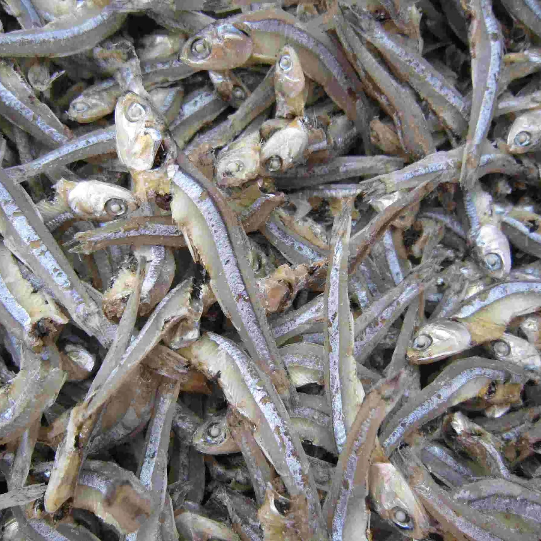 Good Taste Dried Fish Dried Small Anchovy - Natural Sun-dried Fish with good price in bulk quantity Ms Sophie