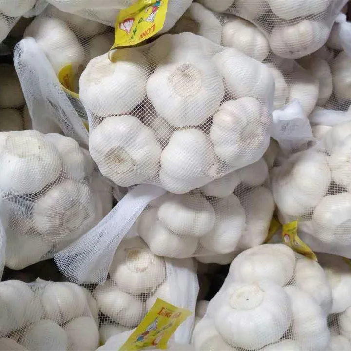 Fresh Garlic AA Grade