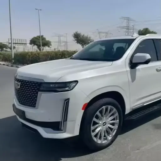 Используется 2021 CADILLACC escaleade LHD
