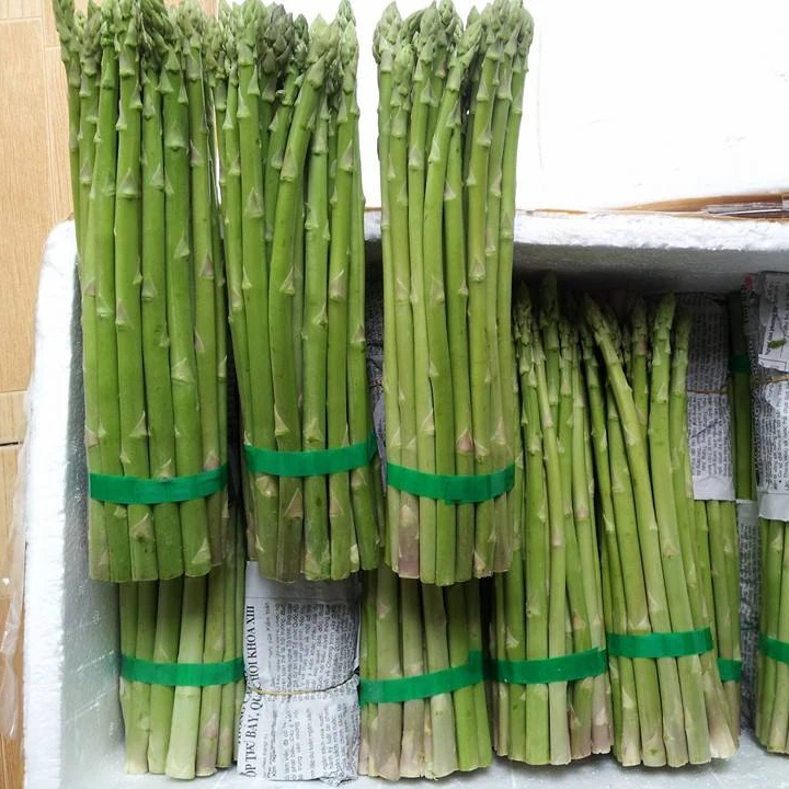 frozen white and green Asparagus competitive price supplier