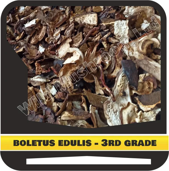 Dried Boletus edulis (porcini) - Third grade