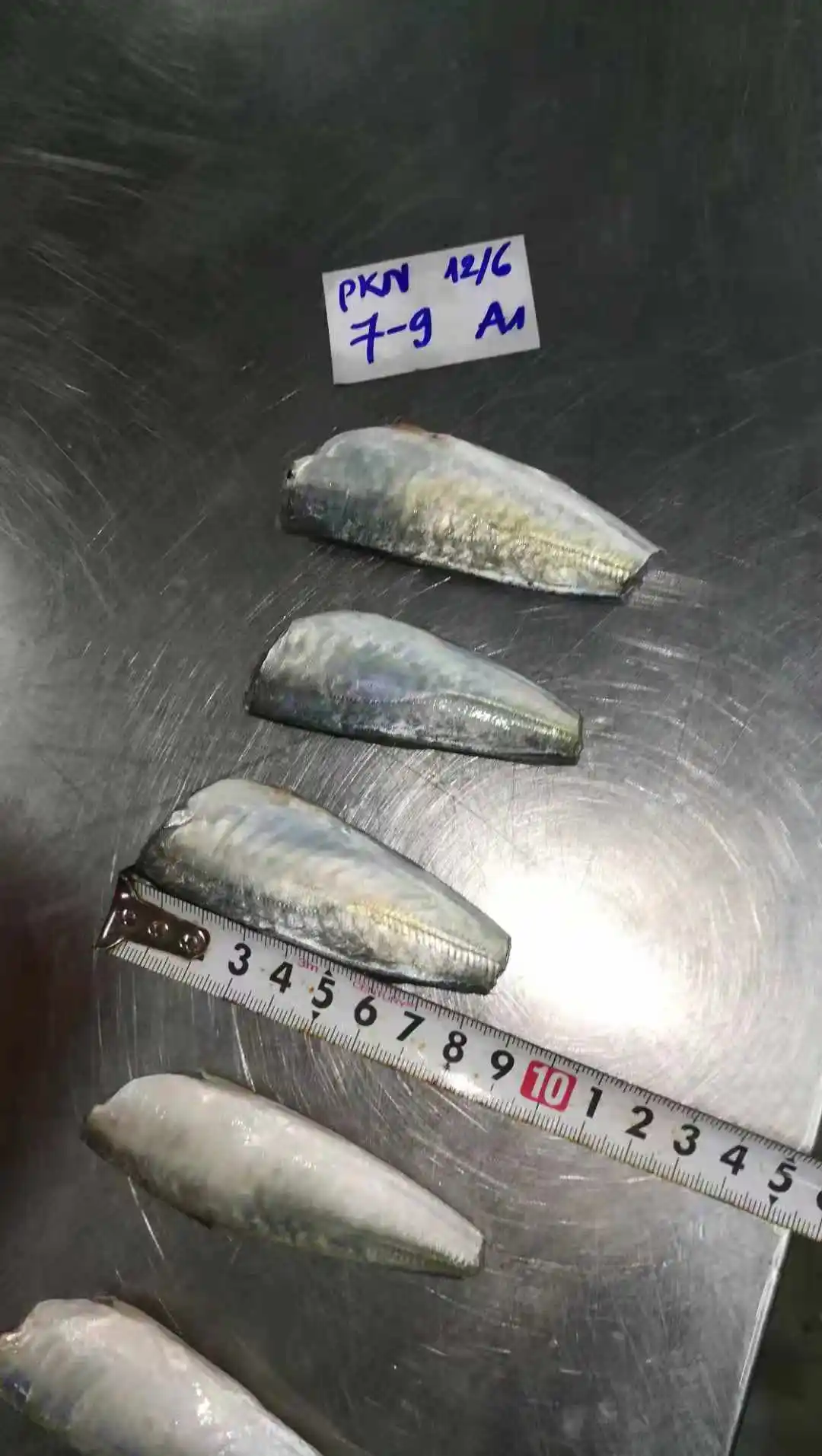 High Quality Ingredient Whole Part Body Manufacture Seafood frozen fish prices Round Scad HGT from Vietnam