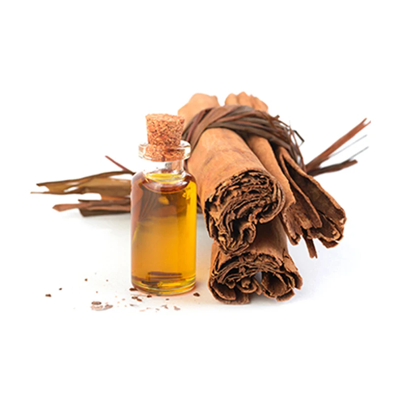 100% pure organic cassia bark oil essential oil for home and Car diffuser Body Care and massage Oils