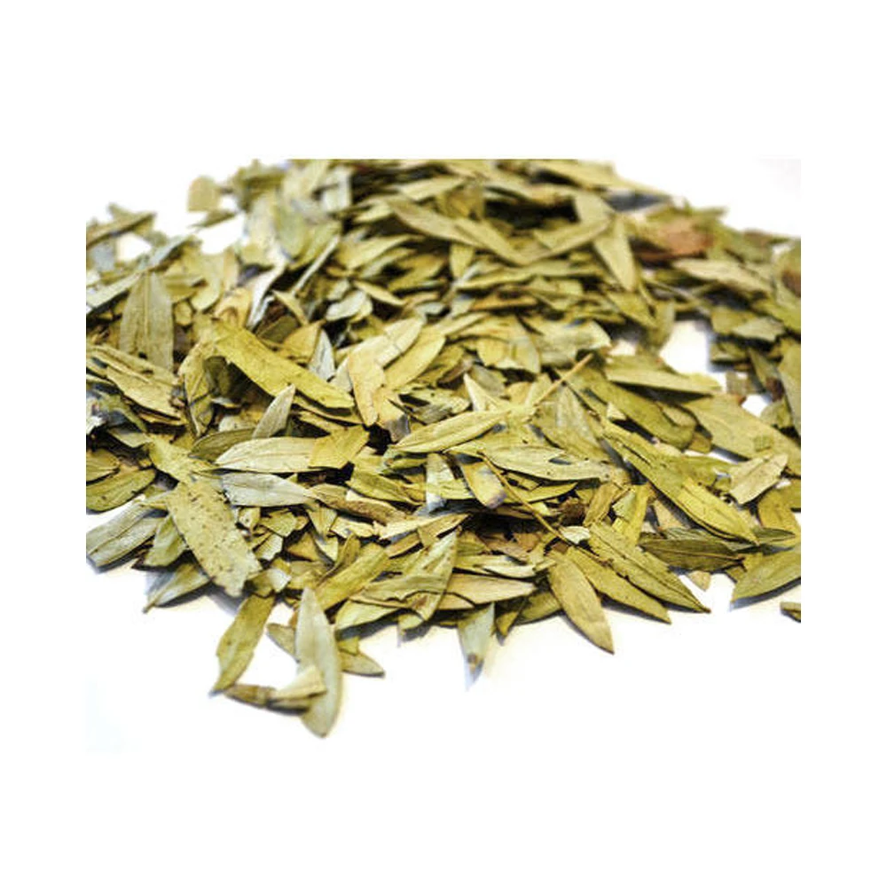 High quality Senna Leaves  Bulk Supply