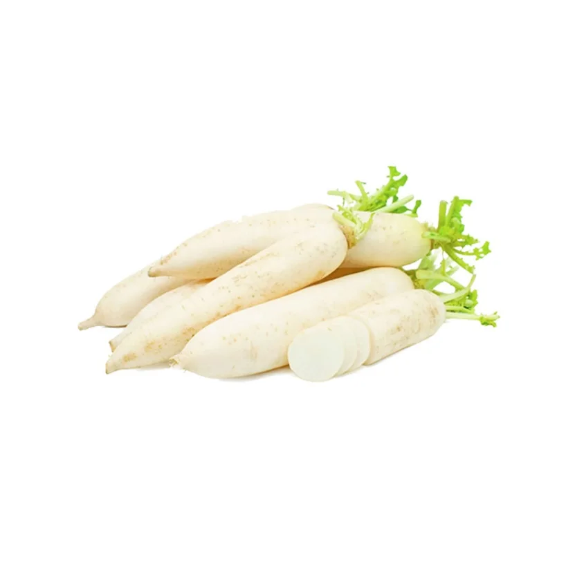 2023 New Crop Fresh White Radish Hot Sale White Radish Factory Low Price White Radish From Vietnam