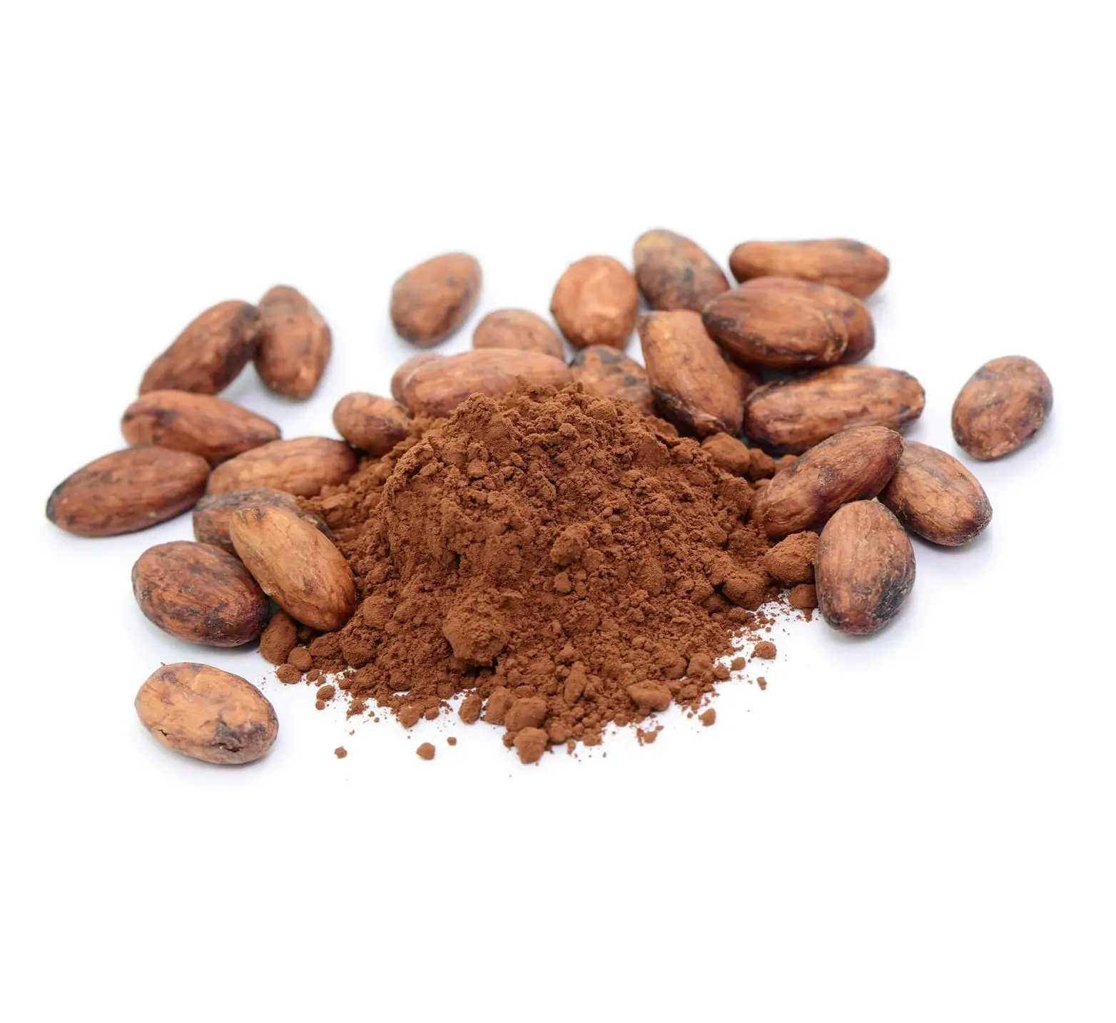 Top High Quality Best Cocoa Price For Wholesale Cocoa Powder