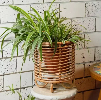 Hot Product Rattan Plant Stand Tree Planter Stand Flower Pot Wholesale Made In Vietnam Durable Handicraft 2024