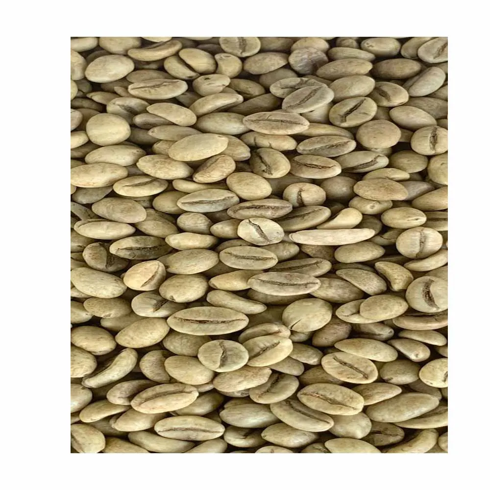 Long Shape Pinto Beans(LSKB)--2019 New Harves
