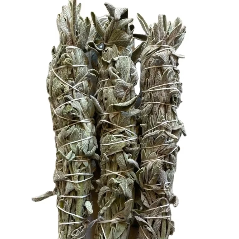 Vente en gros batons de sauge du desert bois naturel graine herbe encens pour usage therapeutique au printemps chakra